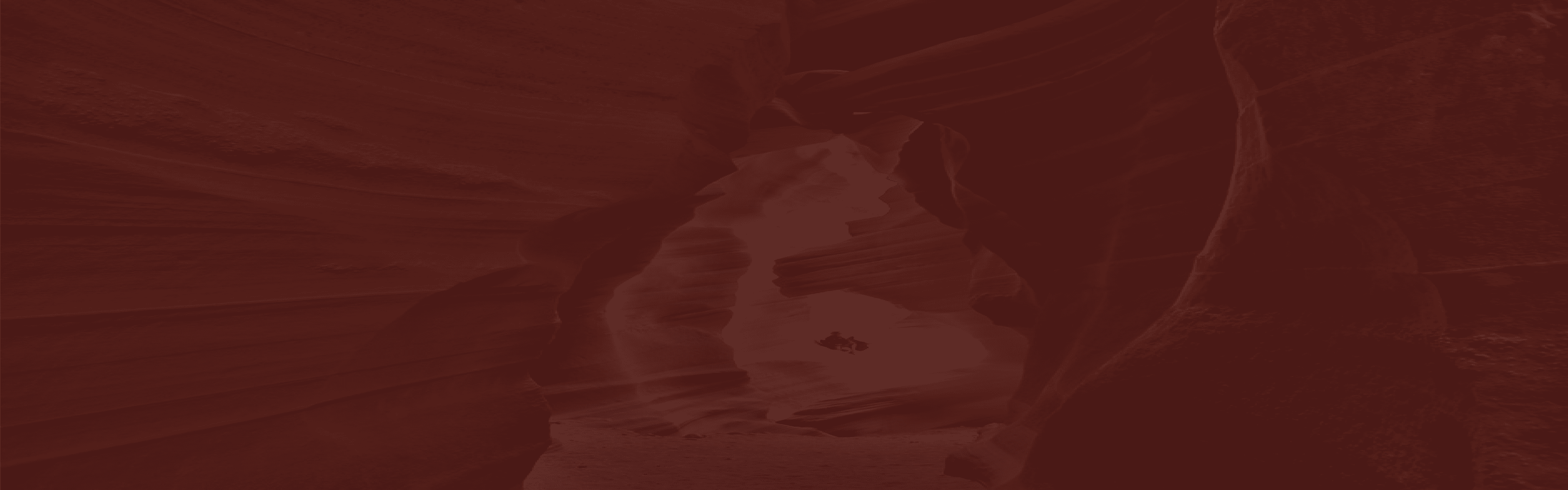 본그룹 사내 커뮤니티 어플리케이션,
본어스